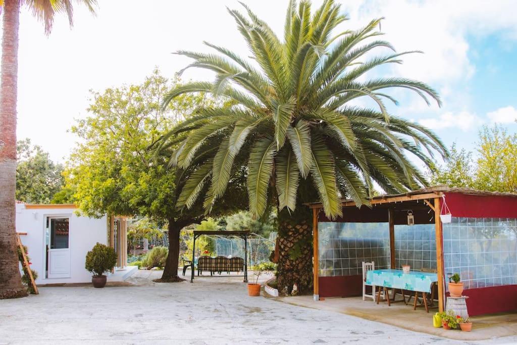 Casita Gopal Villa Icod De Los Vinos Exterior foto
