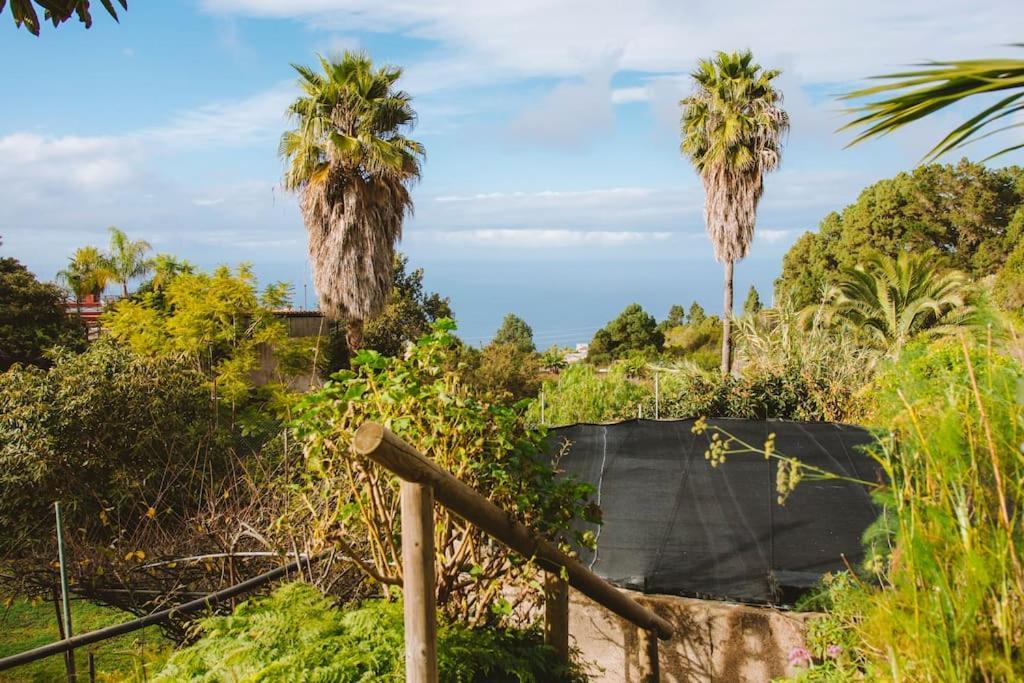 Casita Gopal Villa Icod De Los Vinos Exterior foto